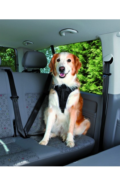 Harnais grand chien pour voiture - Animabassin
